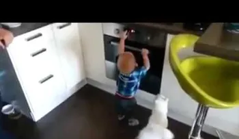 Video: Gato protege a bebé de un horno caliente