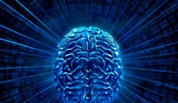 La hipotermia protege el cerebro