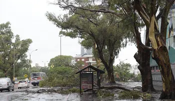 Temporal con fuertes ráfagas de viento azota Montevideo