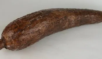 Video: Operan costarricense se introdujo yuca de 18 pulgadas en el ano