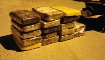 Apresan dos con 17 paquetes de droga en Nagua