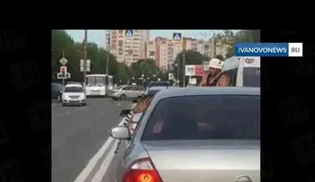 Un tigre se escapa de un auto y trata de huir en plena calle