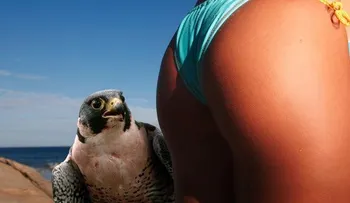 Las 25 imágenes más inexplicables del Internet