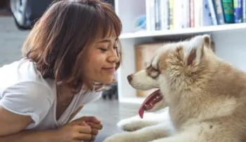 Cómo le debes hablar a los perros ¡Descúbrelo!