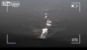 Graban un extraño ser nadando en Lago Ness de Alaska