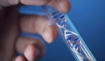 La reparación del ADN es una clave para la lucha contra el cáncer 