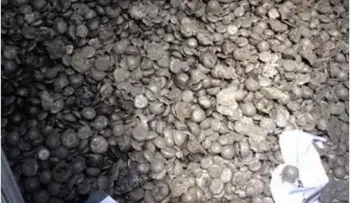 Energía y Minas impide que Falcondo saque cargamento de ferroníquel