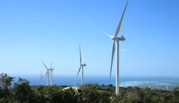 En 2021, CNE aprobó más de $1,000 millones en incentivos a energía renovable