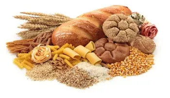 Los carbohidratos más importantes para tu salud