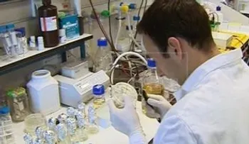 Científicos de EE.UU. localizan en el sodio la clave para combatir la malaria