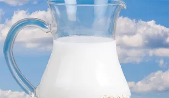 Lo que no sabías de la leche de avena 