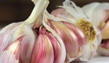 Conoce este alimento que reduce los niveles de colesterol y triglicéridos