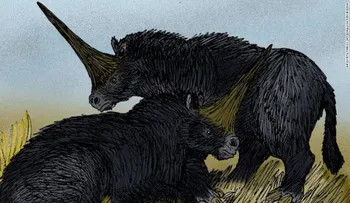 Encuentran restos de un verdadero unicornio? y no era tan bonito como creíamos