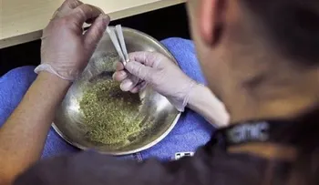 Estudiante argentino intoxica a compañeros con torta marihuana 