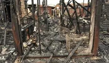 Mueren 41 perros en incendio en Las Vegas 