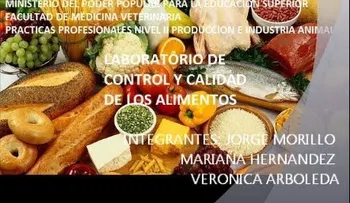 La dieta vegetariana previene el riesgo cardio y cerebrovascular