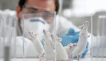 Expertos británicos prueban con éxito en ratones vacuna contra el coronavirus 