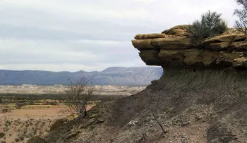 Un estadounidense deja a su nieta de 5 años sola y con un arma en un desierto