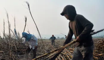 El desempleo en México cae a su nivel más bajo desde 2014
