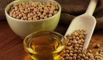 Aceites de soya y girasol son más saludables para el organismo
