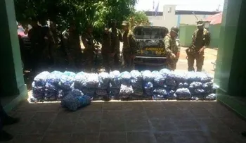 Armada ocupa 450 sacos de ajo contrabandeados desde Haití