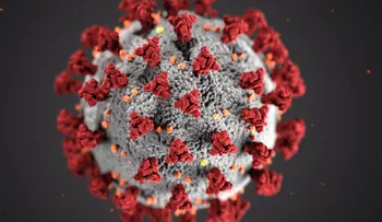 La OMS advierte al mundo prepararse para una crisis larga por el coronavirus 