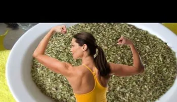Tiene 42 veces más antioxidante que las manzanas: EL OREGANO