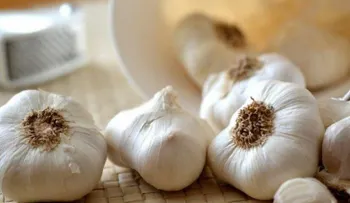 9 propiedades saludables de consumir ajo