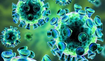 Descubren como desarrollar una vacuna mundial contra infecciones para cualquier enfermedad