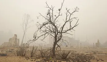 200 millones de estadounidenses sufrirán graves problemas mentales por el cambio climático