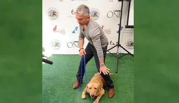 "Tratar a los perros como humanos es frustrarlos", dice el encantador de perros César Millán