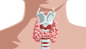 Cuatro nutrientes esenciales para la función tiroidea