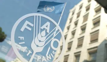 Grupo Ávila: Gobierno venezolano premiado por la FAO con base a datos irreales 