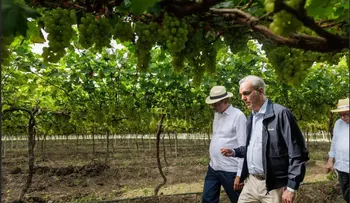 Abinader destaca cultivo de uvas de la UFHEC en San Juan
