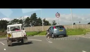 IMAGENES PUEDEN HERIR SU SENSIBILIDAD: Un perro asoma la cabeza por ventanilla de un coche en marcha y pasa esto