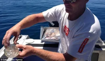Un pez transparente con aspecto de alien sorprende a un pescador