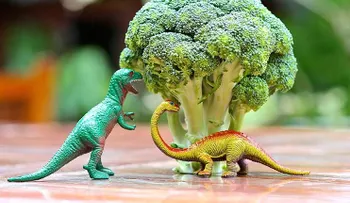 7 recetas con brócoli amigables para niños 