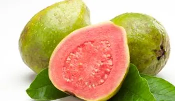 Guayaba: Secreto mejor guardado para un Sueño Profundo