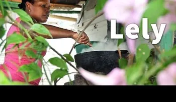 Vendiendo comida en construcción de escuela levanta RD$6,000 diarios