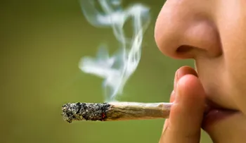 Los fumadores de marihuana son menos propensos a ser obesos, indica estudio