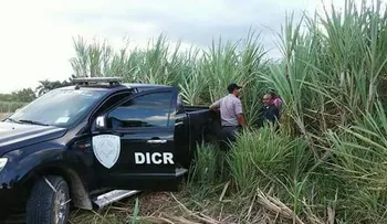 Realizan el levantamiento de osamenta encontrada en cañaveral del Seibo 