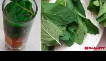 Conoce los grandes beneficios para la salud de la hierbabuena (VIDEO)