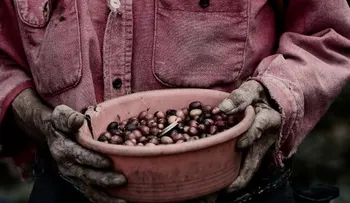 5 hábitos que debes dejar ahora mismo si no quieres estar postrado en la vejez