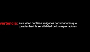 Venezuela abre investigación penal a los futbolistas que supuestamente maltrataron a un gato