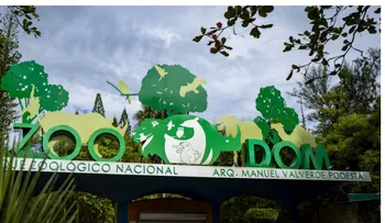 Permiten especies exóticas en el Zoológico Nacional