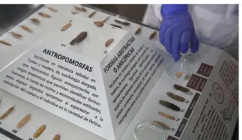 Descubren 43 figuras milenarias civilización Caral en Perú