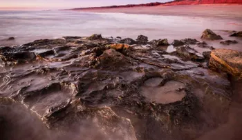 Encuentran la huella de dinosaurio más grande del mundo en el Jurassic Park de Australia