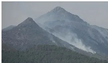 Madrid alerta por mala calidad del aire