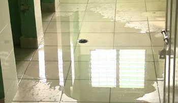 Denuncian séptico produce desastres en escuela 