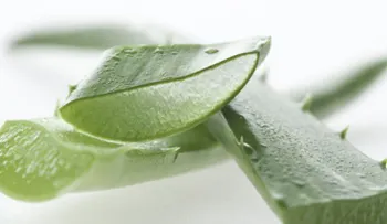 Aprende a hacer un bloqueador solar con ingredientes naturales